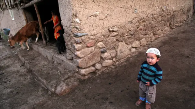 Онам сигир соғяптилар...