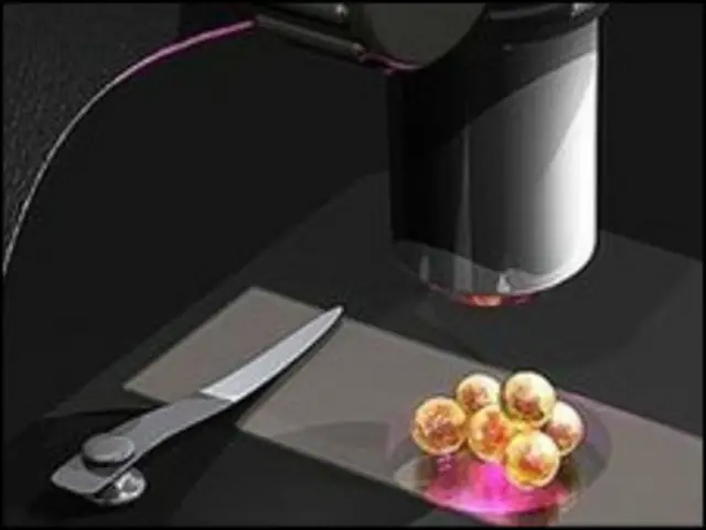 ريښه يي حجرې