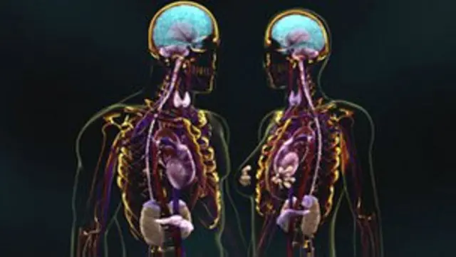 Atracción sexual en el cerebro