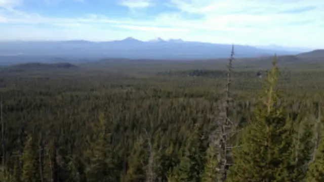 Monumento Nacional Volcánico Newberry