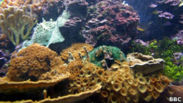 Как сделать кораллы из мастики пошагово » Татьяна Бедарева