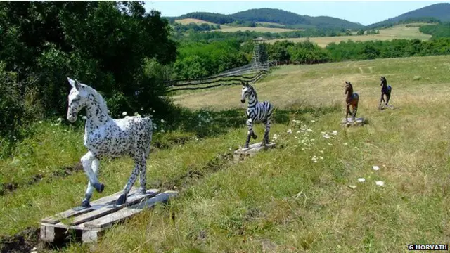 الحمار الوحشي