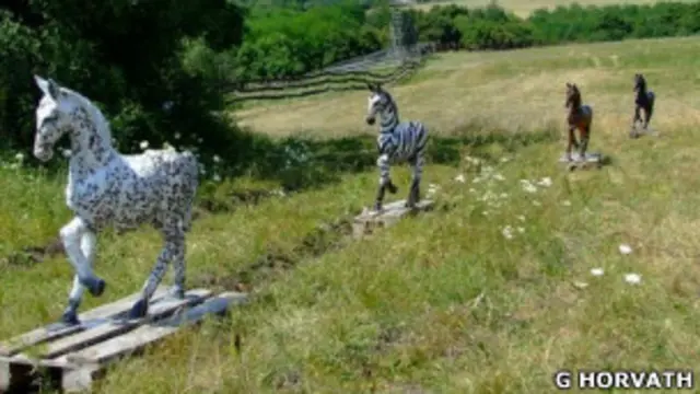 Caballos usados para encontrar el sentido de las rayas de las cebras. 