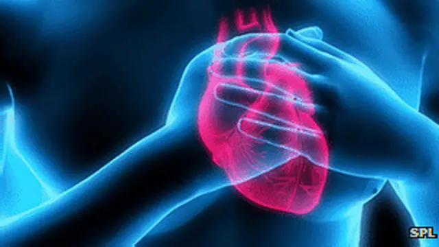 स्टेम सेल लगाने के बाद स्कार टिशू की मात्रा में गिरावट आती गई और स्वस्थ हृदय मांसपेशियां बनने लगीं