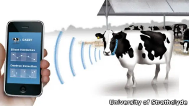 tecnologia de texto para vacas