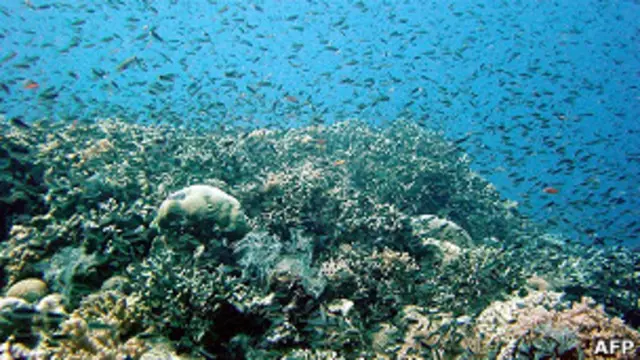 پیسیفک ریموٹ آئی لینڈ کا علاقہ امریکہ کے کنٹرول میں ہے 