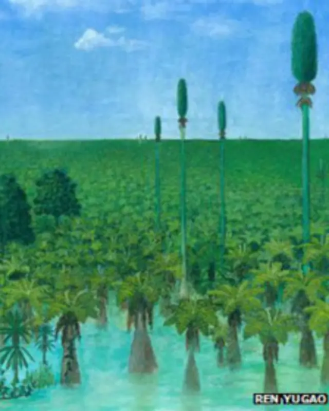 Древний лес