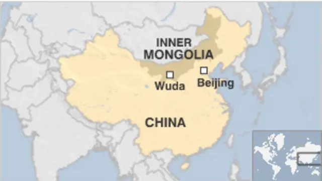 Hutan rawa-rawa purba terletak di kawasan utara Cina.