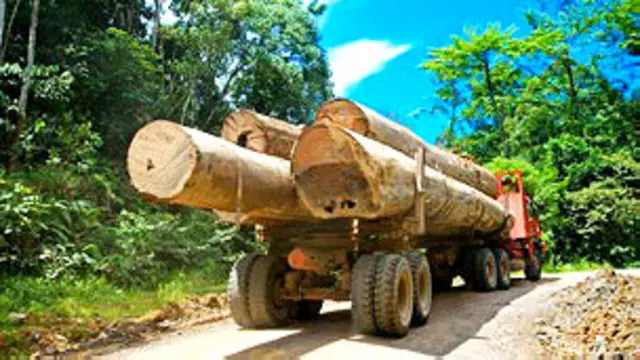 ပြည်ပကို သစ်လုံး တင်ပို့မှုကို လာမယ့်နှစ်က စလို့ ရပ်ဆိုင်းတော့မယ်လို့ သစ်တော ဝန်ကြီးဌာနက ကြေညာ