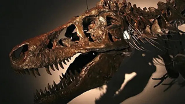 Esqueleto de tiranossauro (Getty Images)