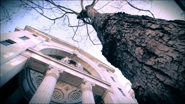 بوش هاوس - لندن