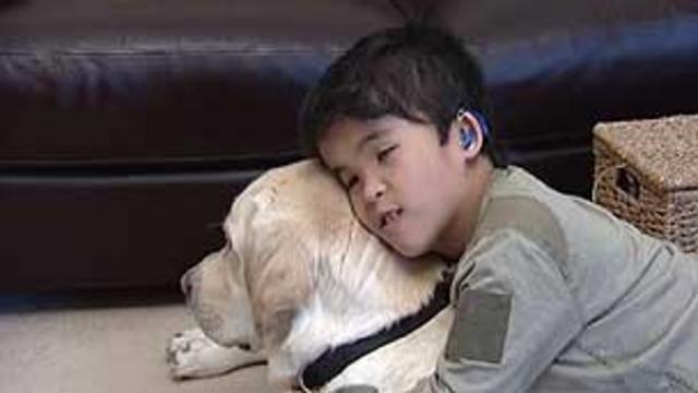 James Cheung ajuda a cuidar do labrador Kurt. | Foto: BBC