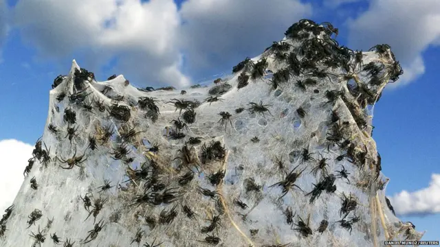 د استرالیا د نوي ساوت ویلز په واګا واګا سیمه کې د اوبو له توپانونو په تېښته غڼې. چارواکو په جنوب کې د توپانونوله کبله شاوخوا نهو زرو کسانو ته له خپلو کورونو د پرېښودو امر کړی دی. 