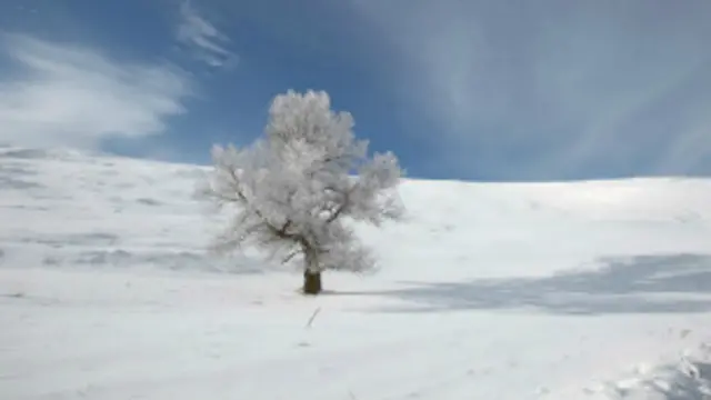 晴：毋庸置疑，太阳一出来，绝大多数人心情更加乐观。