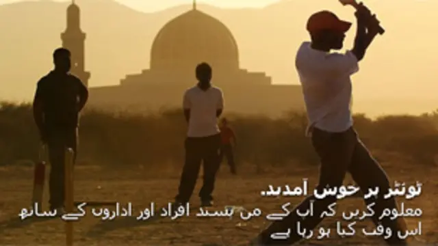 ٹوئٹر پاکستان میں مقبول ترین مائیکرو بلاگنگ ویب سائٹس میں شامل ہے