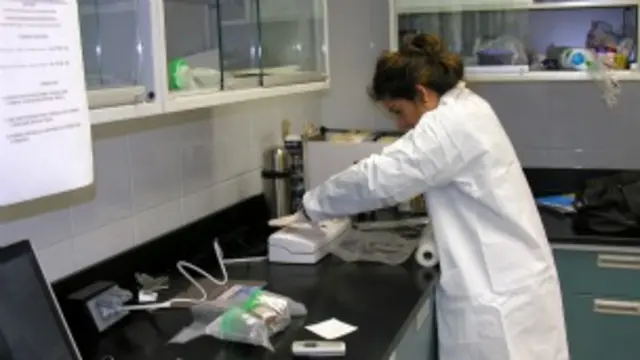 Forenses argentinos identifican restos en Ciudad Juárez