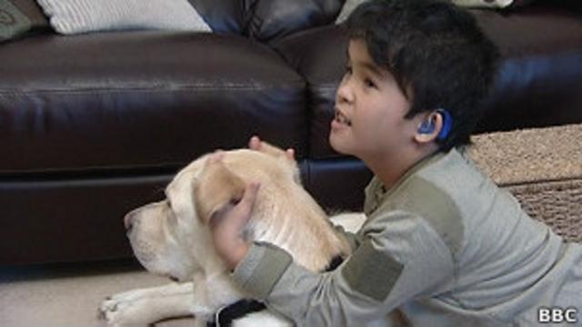 Perros para niños sordos