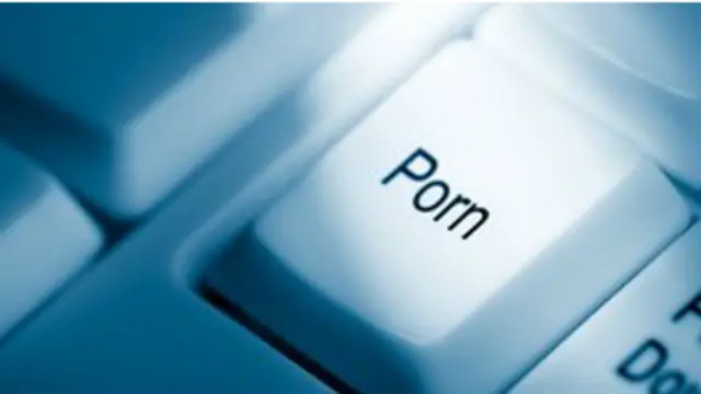 DPR sudah beberapa kali dihantam skandal video porno