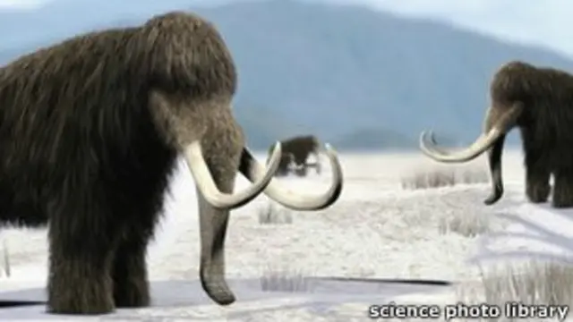 Мамонты. Реконструкция