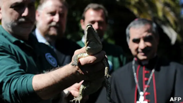 Cocodrilo que Italia manda a Cuba antes de la visita del Papa