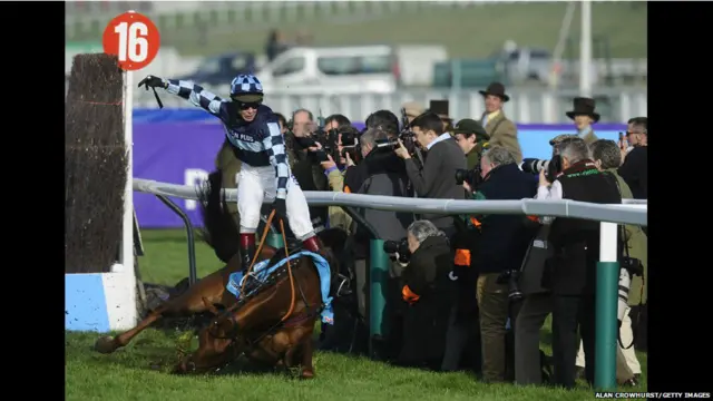 د انگلستان د اس ځغاستې په مشهورو سياليو چې د ويشفول تينکينگ په نامۀ اس خورا بد ټپي شو، پر اس سپور هم خوږ شو، که څه هم دغه اس روغ رمټ پاتې شو خو په څلور ورځنيو ځغاستو کې پنځه نور اسونه مړۀ شول.