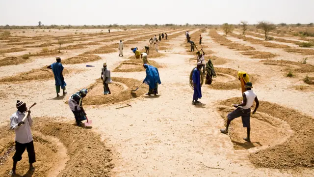 Mutane suna tara kasa
