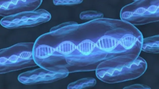 शरीर के ब्लूप्रिंट की कॉपी हर जीन में होती है 