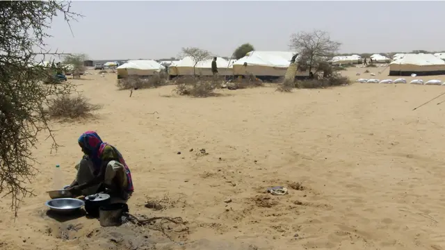 په نيژير کې يوه بله ستونزه په وروستیو میاشتو کې له ګاونډي هیواد مالي نه د را رسیدوونکو مهاجرو ده.