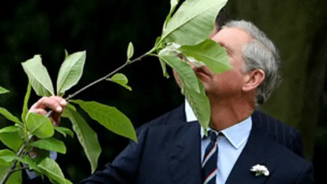 принц Чарльз