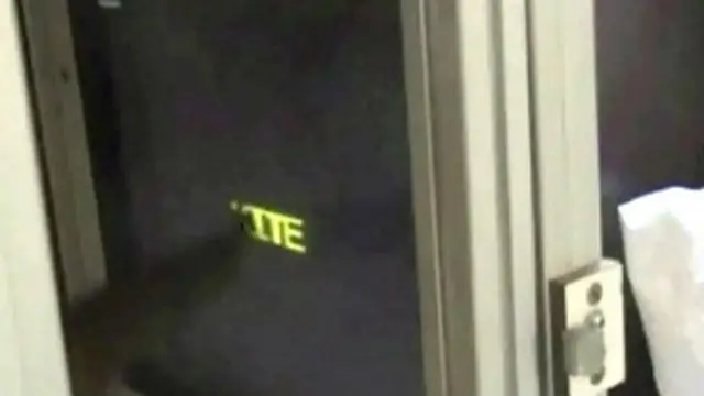 رسالة تعرفت عليها القردة