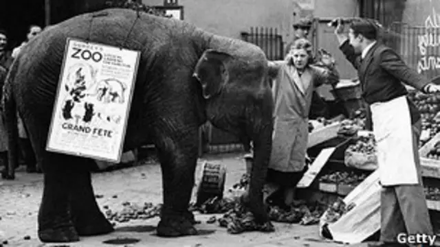 Publicidad tradiconal