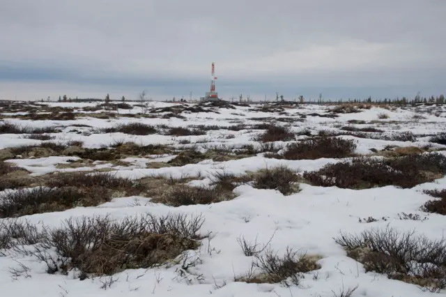 Снежное поле