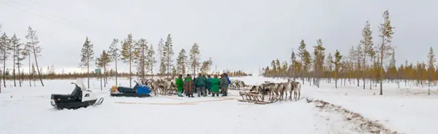 Оленеводы в поле