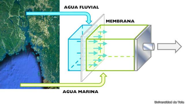 Mapa explicando la generación de energía eléctrica por el flujo de agua dulce hacia agua salada