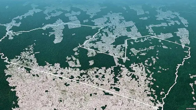 ब्राजील की अवा जनजाति 