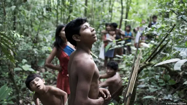 ब्राजील की अवा जनजाति 