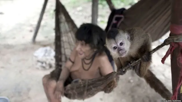 ब्राजील की अवा जनजाति 