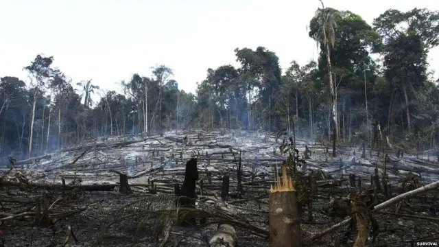 ब्राजील की अवा जनजाति 