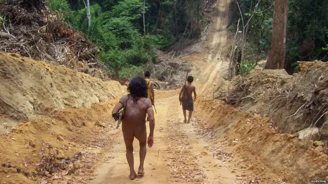 ब्राजील की अवा जनजाति 