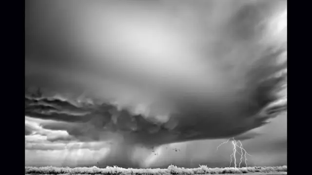 یک عکاس آمریکایی به نام "میچ دبرانر" با مجموعه عکس "طوفان ها" جایزه دیافراگم طلایی را از آن خود کرد. 