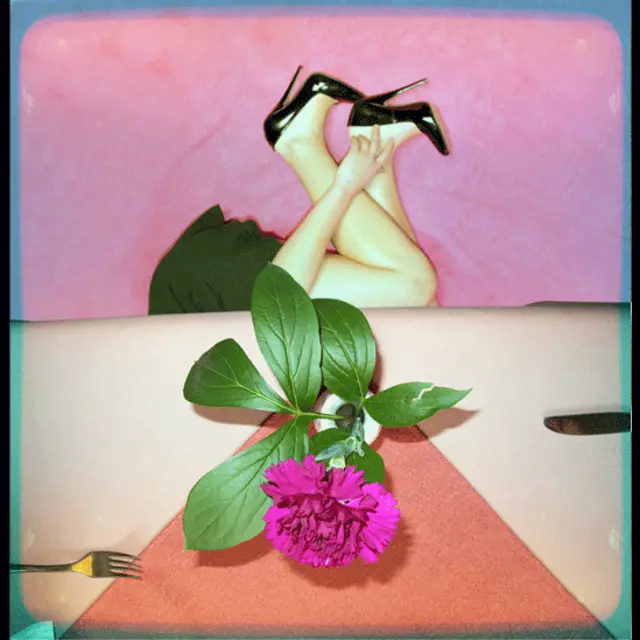 نام عکاس:‌ پیتر فرانک از آلمان. برنده در بخش مد. نام عکس: حکایت های میز. 