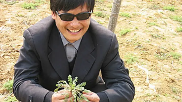 चेन चीन में जबरदस्ती गर्भपात और नसबंदी के खिलाफ मुहिम चला चुके हैं