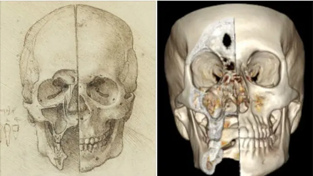 Leonardo'nun kafatası çizimi ve kafatası fotoğrafları ile neredeyse aynı.