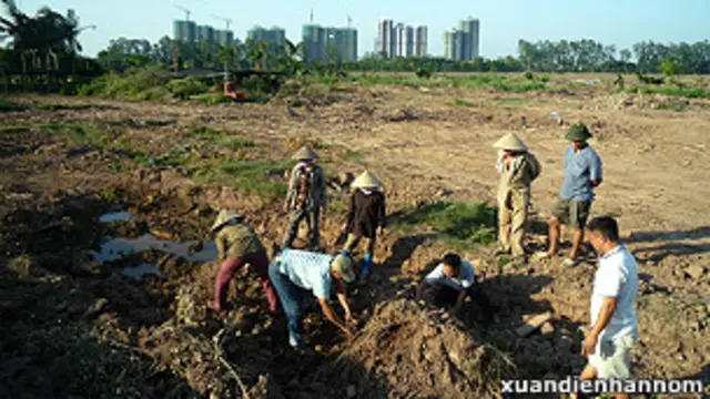 Đô thị hóa tại Việt Nam: nông dân Văn Giang phải rời mồ mả tổ tiên cho dự án xây cất