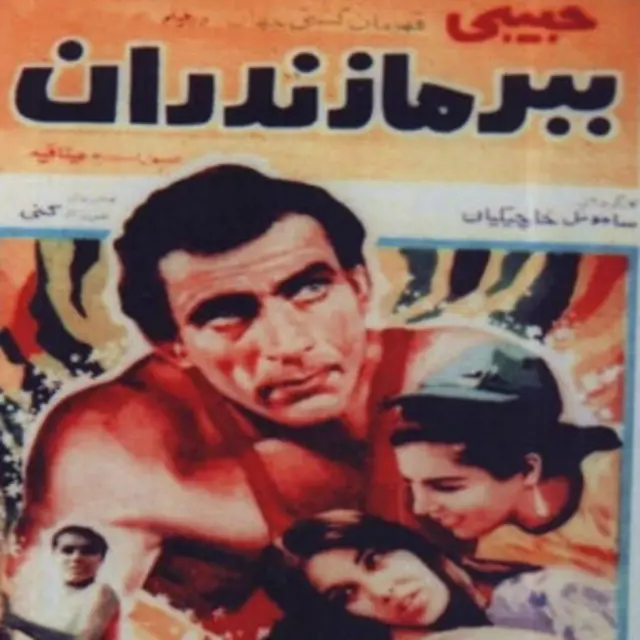 حبیبی در فیلم سینمایی "ببر مازندران" به کارگردانی ساموئل خاچیکیان، در نقش یک کشتیگیر ظاهر شد