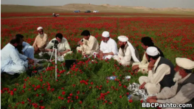 دا ږيره او دا تسبې،، زهٴ خو ملا شوی يم +++
کله کله ځئ راځئ،،ستاسو بابا شوی يم