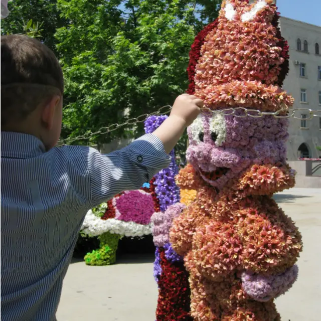 Bakıda gül bayramı