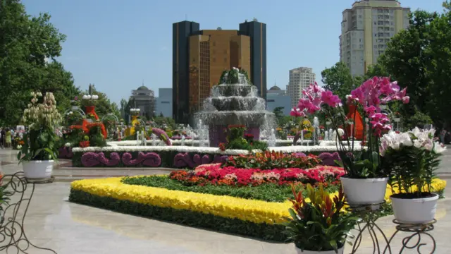 Bakıda gül bayramı 