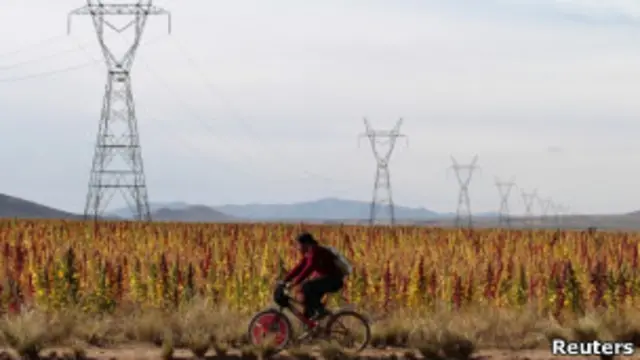 Los cultivos de quinua están causando fuertes disputas al interior de Bolivia.