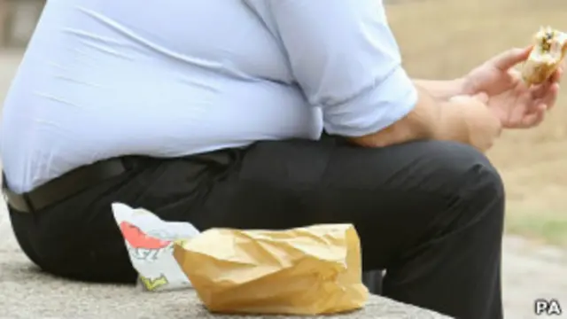 肥胖症与所谓的垃圾食品